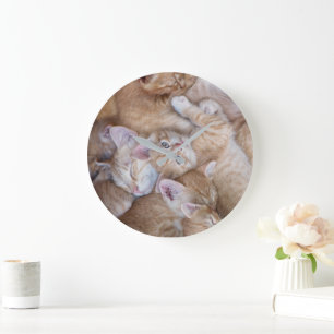 Cutest Baby Animals   Orange Kitten Pile Large Clock