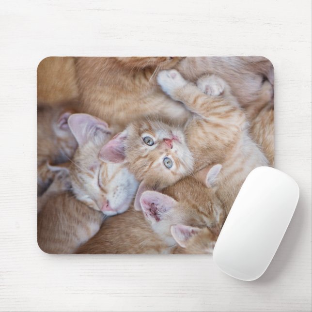 Cutest Baby Animals | Orange Kitten Pile Mouse Mat (With Mouse)