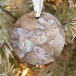 Cutest Baby Animals Orange Kitten Pile Ornament