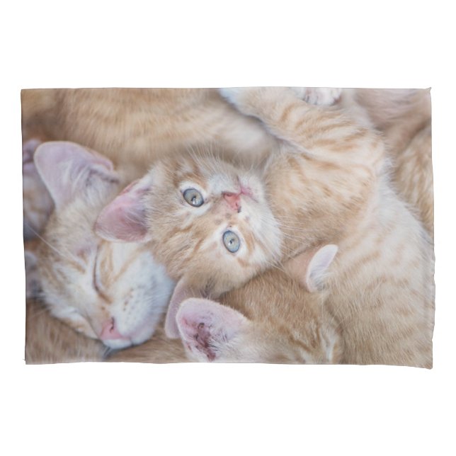 Cutest Baby Animals | Orange Kitten Pile Pillowcase (Front)