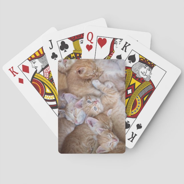Cutest Baby Animals | Orange Kitten Pile Playing Cards (Back)