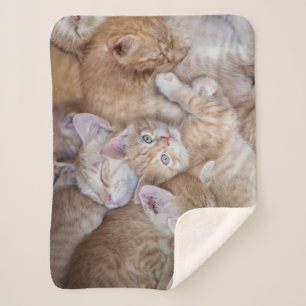 Cutest Baby Animals   Orange Kitten Pile Sherpa Blanket
