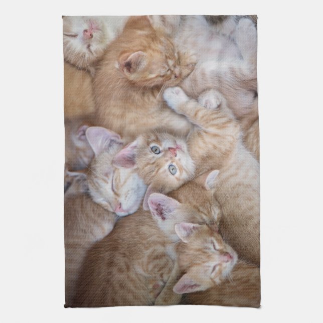 Cutest Baby Animals | Orange Kitten Pile Tea Towel (Vertical)