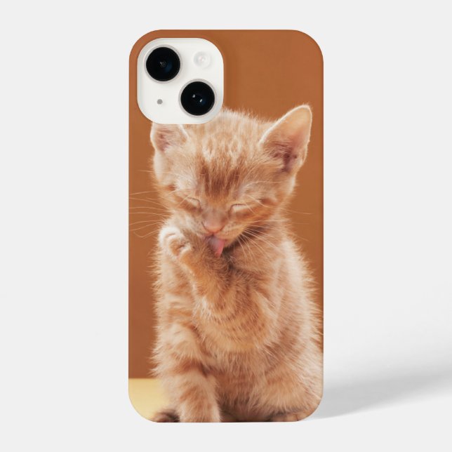 Cutest Baby Animals | Orange Tabby Kitten iPhone Case (Back)