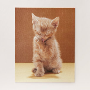 Cutest Baby Animals   Orange Tabby Kitten Jigsaw Puzzle