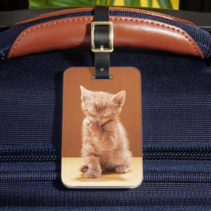 Cutest Baby Animals   Orange Tabby Kitten Luggage Tag