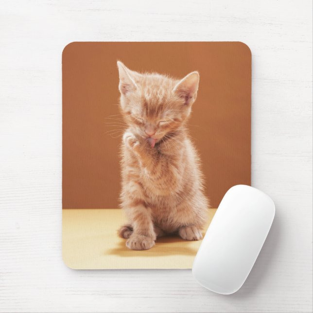 Cutest Baby Animals | Orange Tabby Kitten Mouse Mat (With Mouse)