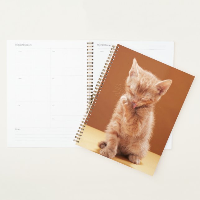 Cutest Baby Animals | Orange Tabby Kitten Planner (Display)
