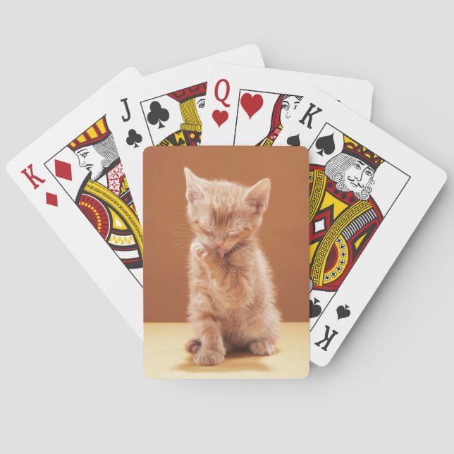 Cutest Baby Animals | Orange Tabby Kitten Playing Cards (Back)