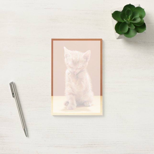 Cutest Baby Animals | Orange Tabby Kitten Post-it Notes (Office)