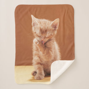 Cutest Baby Animals Orange Tabby Kitten Sherpa Blanket
