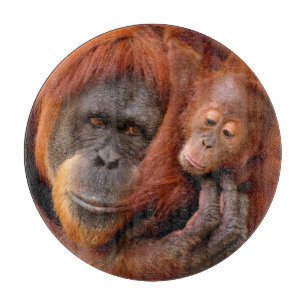 Cutest Baby Animals   Orangutan Mom & Baby Cutting Board