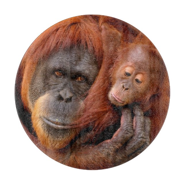 Cutest Baby Animals | Orangutan Mum & Baby Cutting Board (Front)