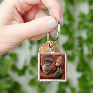 Cutest Baby Animals   Orangutan Mum & Baby Key Ring