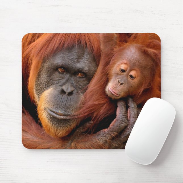 Cutest Baby Animals | Orangutan Mum & Baby Mouse Mat (With Mouse)