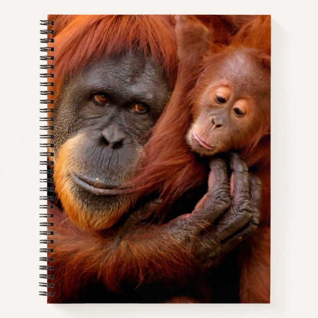 Cutest Baby Animals | Orangutan Mum & Baby Notebook (Front)