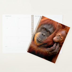 Cutest Baby Animals Orangutan Mum & Baby Planner
