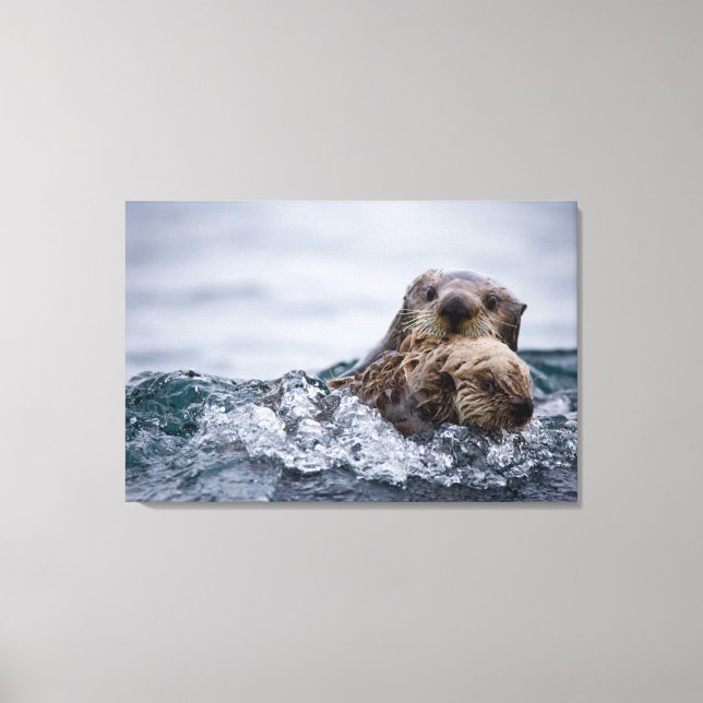 Cutest Baby Animals | Otter Baby & Mother Canvas Print (Front)
