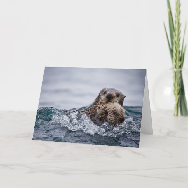 Cutest Baby Animals | Otter Baby & Mother Card (Front)