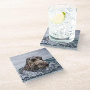 Cutest Baby Animals   Otter Baby & Mother Glass Coaster