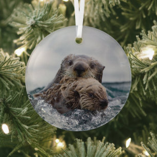 Cutest Baby Animals   Otter Baby & Mother Glass Tree Decoration
