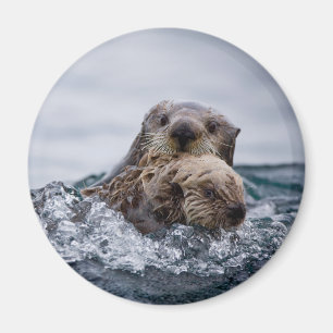 Cutest Baby Animals Otter Baby & Mother Magnet