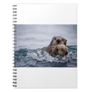 Cutest Baby Animals Otter Baby & Mother Notebook