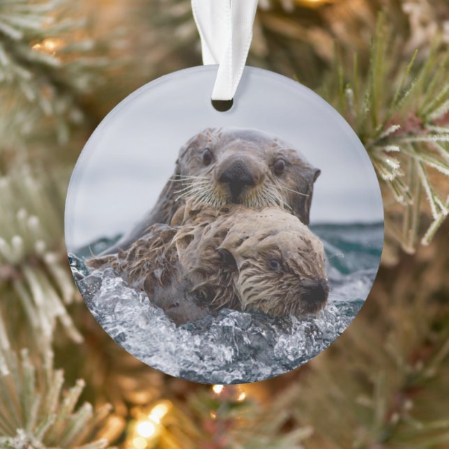 Cutest Baby Animals | Otter Baby & Mother Ornament (Tree)
