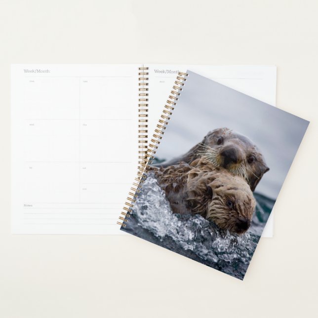 Cutest Baby Animals | Otter Baby & Mother Planner (Display)
