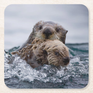 Cutest Baby Animals   Otter Baby & Mother Square Paper Coaster