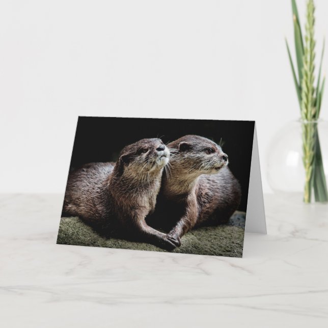 Cutest Baby Animals | Otters Holding Hands Card (Front)