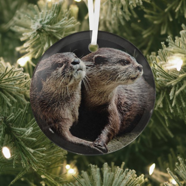 Cutest Baby Animals | Otters Holding Hands Glass Tree Decoration (Insitu)