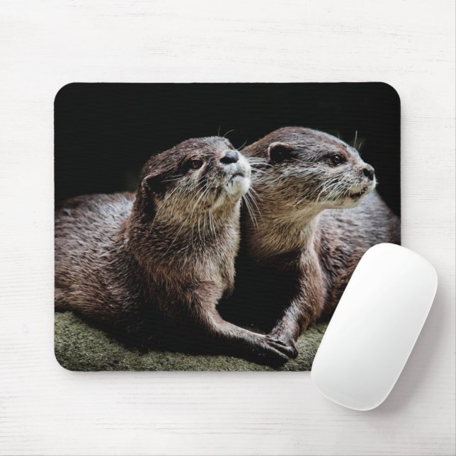 Cutest Baby Animals | Otters Holding Hands Mouse Mat (With Mouse)