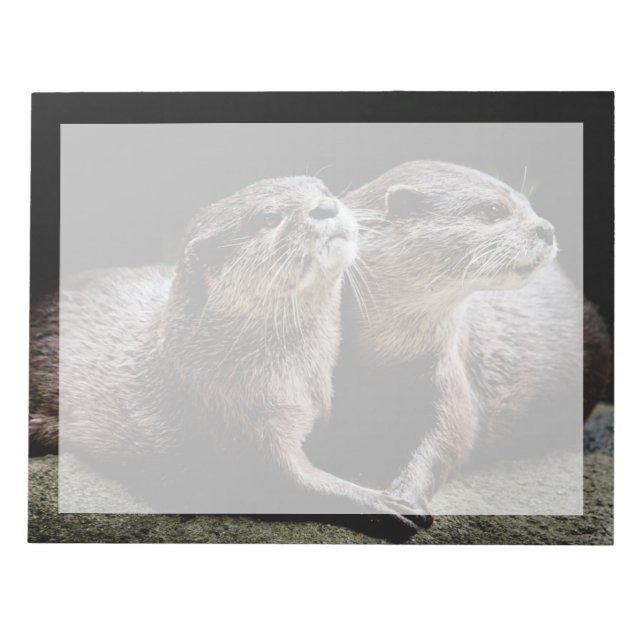 Cutest Baby Animals | Otters Holding Hands Notepad (Front)