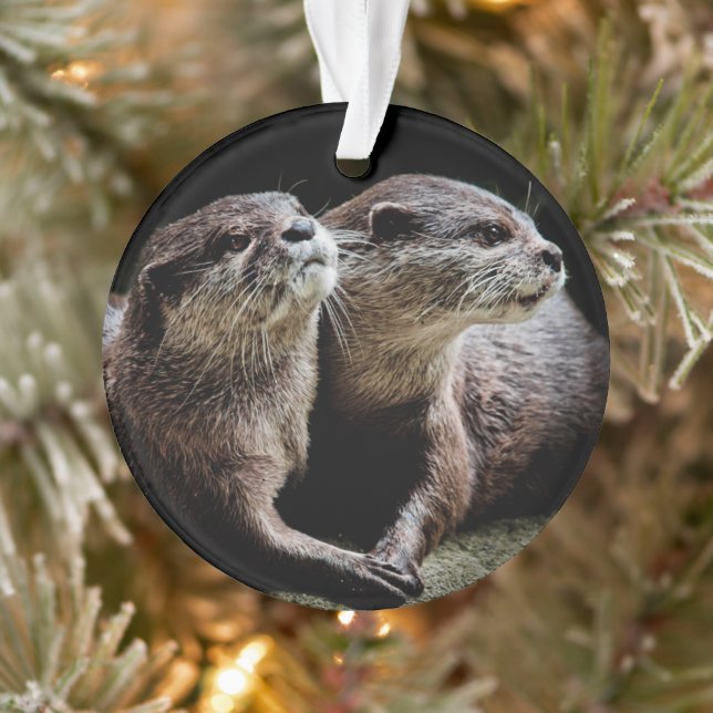 Cutest Baby Animals | Otters Holding Hands Ornament (Tree)