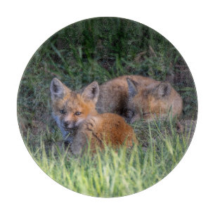 Cutest Baby Animals   Pair of Red Fox Kit Siblings Cutting Board