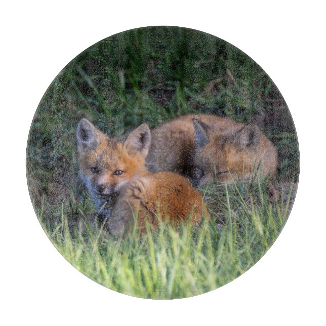 Cutest Baby Animals | Pair of Red Fox Kit Siblings Cutting Board (Front)