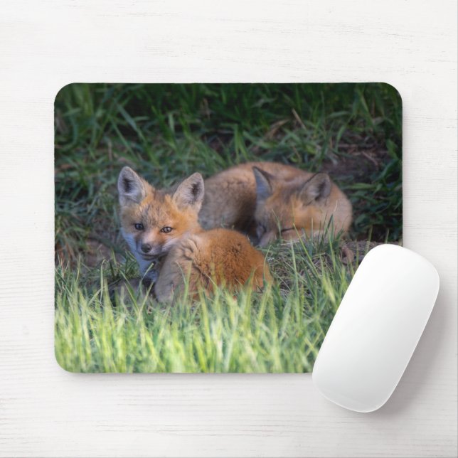Cutest Baby Animals | Pair of Red Fox Kit Siblings Mouse Mat (With Mouse)