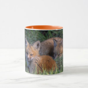 Cutest Baby Animals   Pair of Red Fox Kit Siblings Mug
