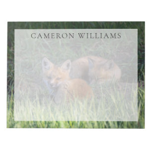 Cutest Baby Animals Pair of Red Fox Kit Siblings Notepad