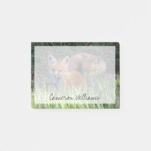 Cutest Baby Animals Pair of Red Fox Kit Siblings Post-it Notes