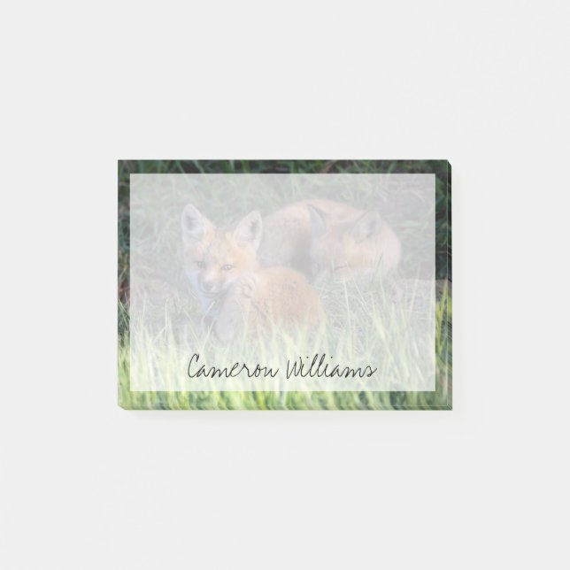 Cutest Baby Animals | Pair of Red Fox Kit Siblings Post-it Notes (Front)