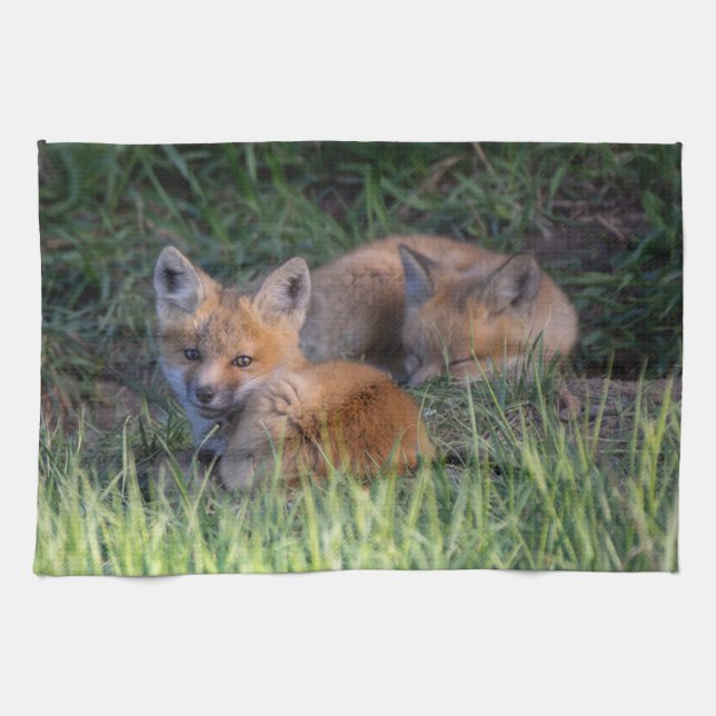 Cutest Baby Animals | Pair of Red Fox Kit Siblings Tea Towel (Horizontal)