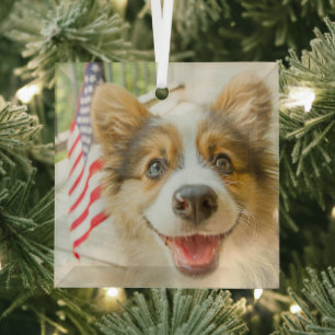 Cutest Baby Animals   Patriotic Corgi Puppy Glass Tree Decoration