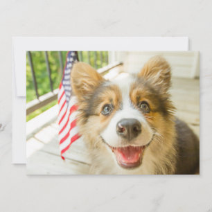 Cutest Baby Animals Patriotic Corgi Puppy Thank You Card