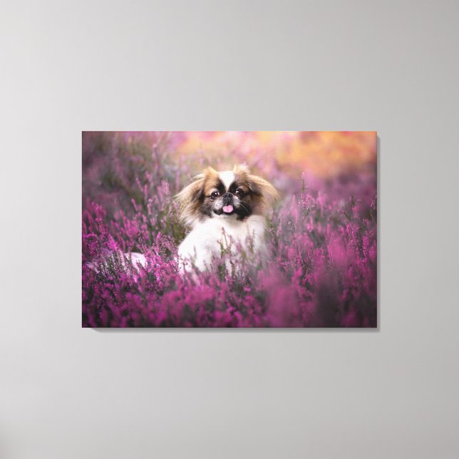 Cutest Baby Animals | Pekingese Puppy Canvas Print (Front)