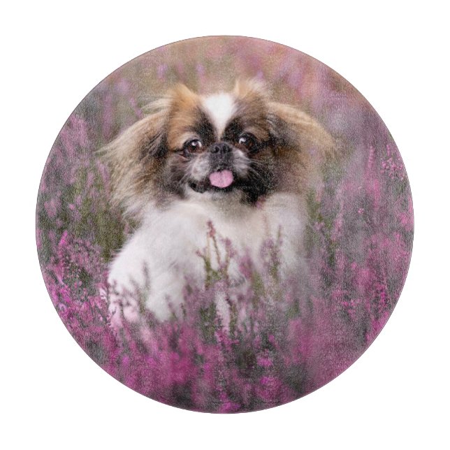 Cutest Baby Animals | Pekingese Puppy Cutting Board (Front)