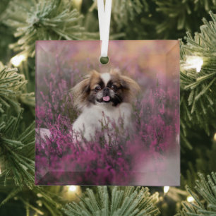 Cutest Baby Animals Pekingese Puppy Glass Tree Decoration