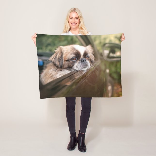 Cutest Baby Animals | Pekingese Puppy in Car Fleece Blanket (In Situ)