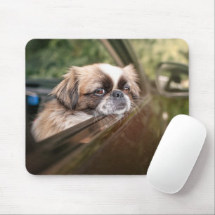 Cutest Baby Animals Pekingese Puppy in Car Mouse Mat
